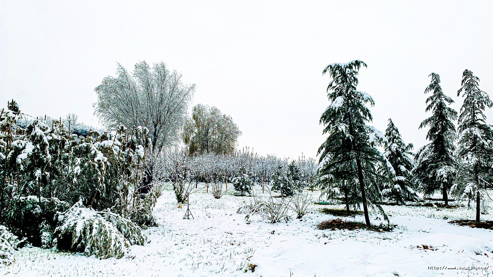 4版 雪景远景.jpg